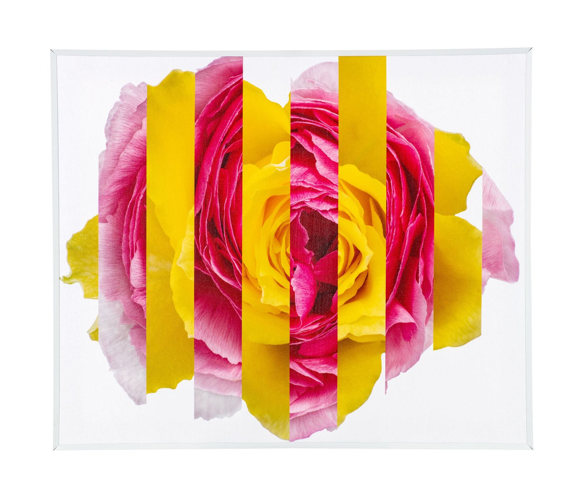 Heavenly Flowers_02_P&Yw