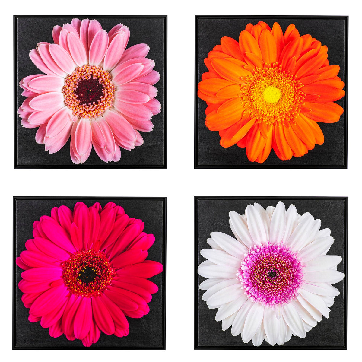 Heavenly Flowers_05_R&O