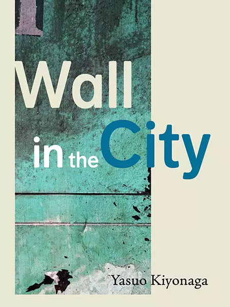 Wall in the City (English Edition)