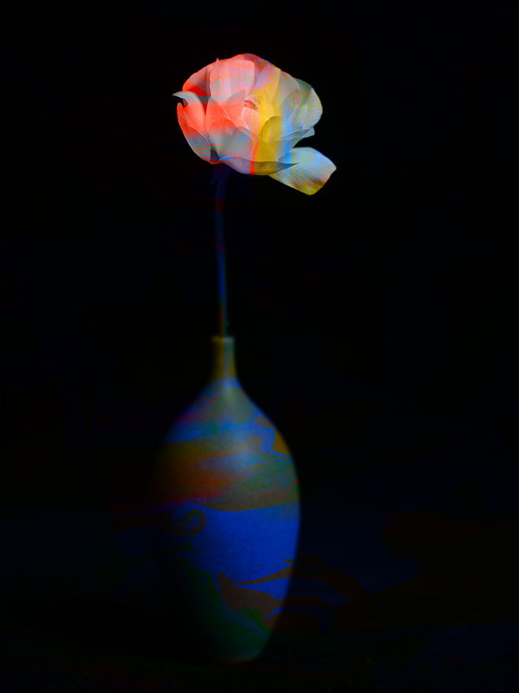 hana51_9504-1