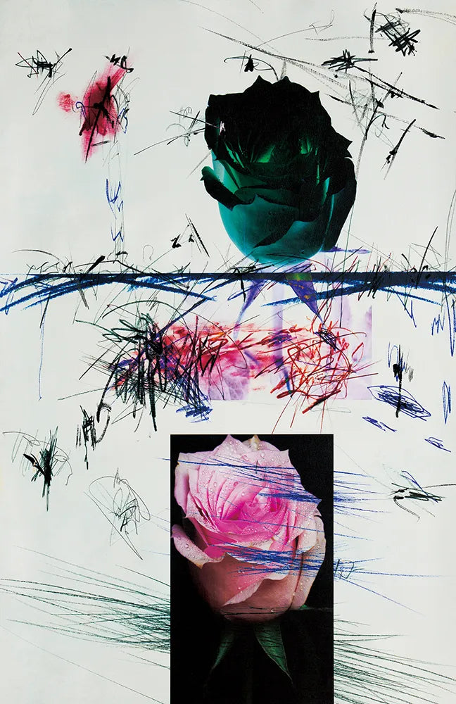 hana62_3196