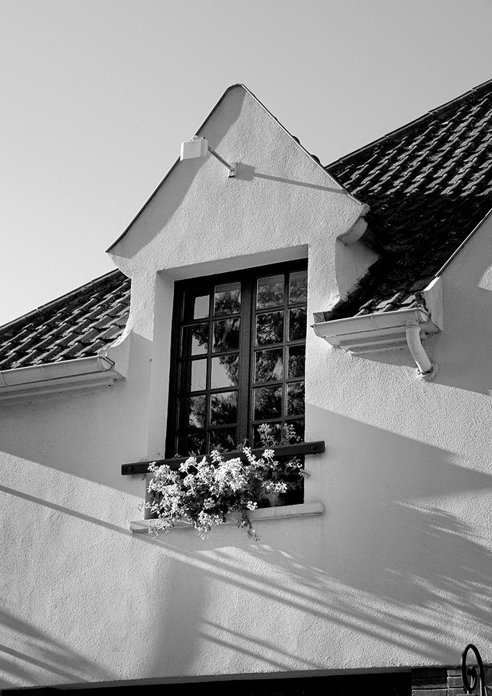 MP414