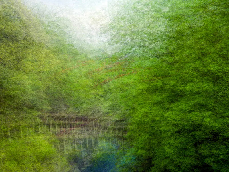 6%_12
