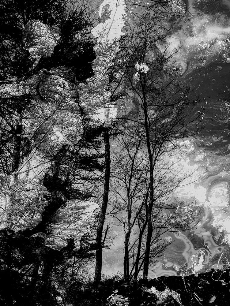 Spirit of Forest 1932