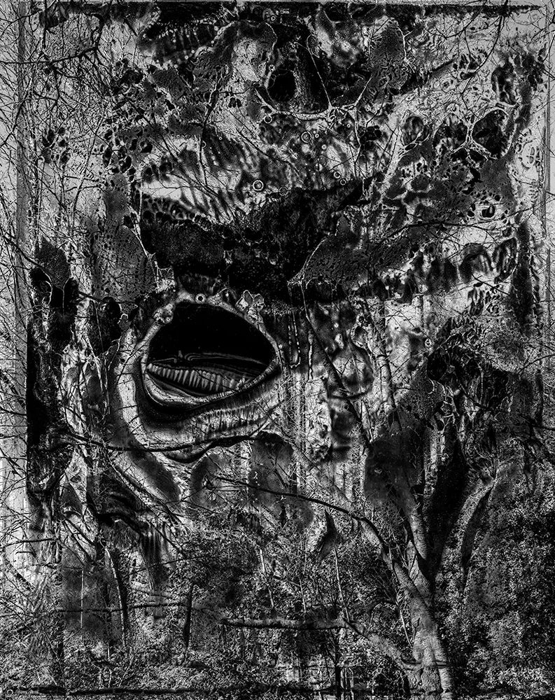 Spirit of Forest 2020