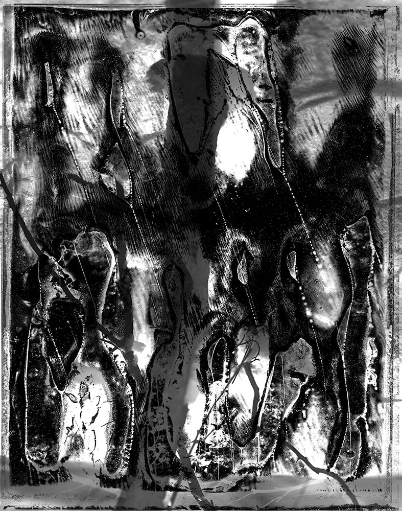 Spirit of Forest 2041