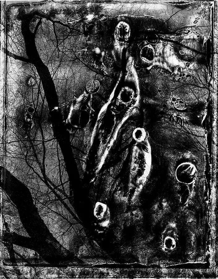 Spirit of Forest