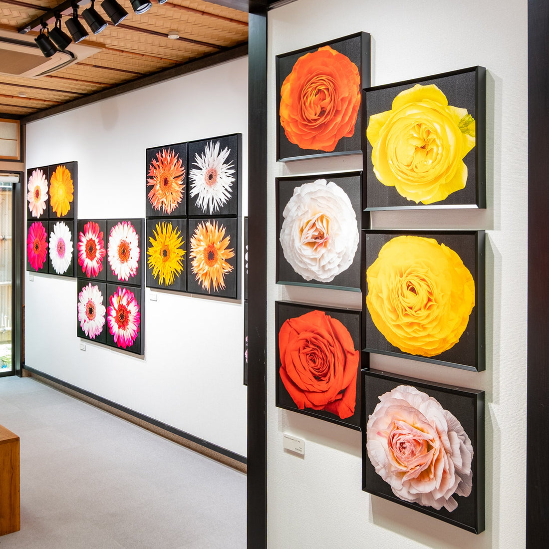清永安雄 作品展「天花（てんげ） ─ Heavenly Flowers ─」展示風景紹介