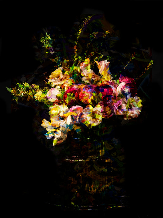 hana08_F050 ― 清永安雄「hana」