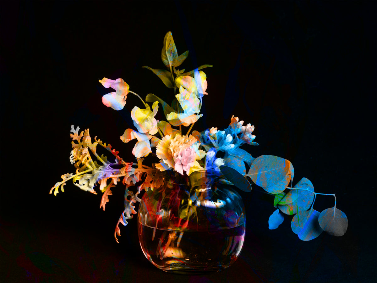 hana26_6919-111 ― 清永安雄「hana」