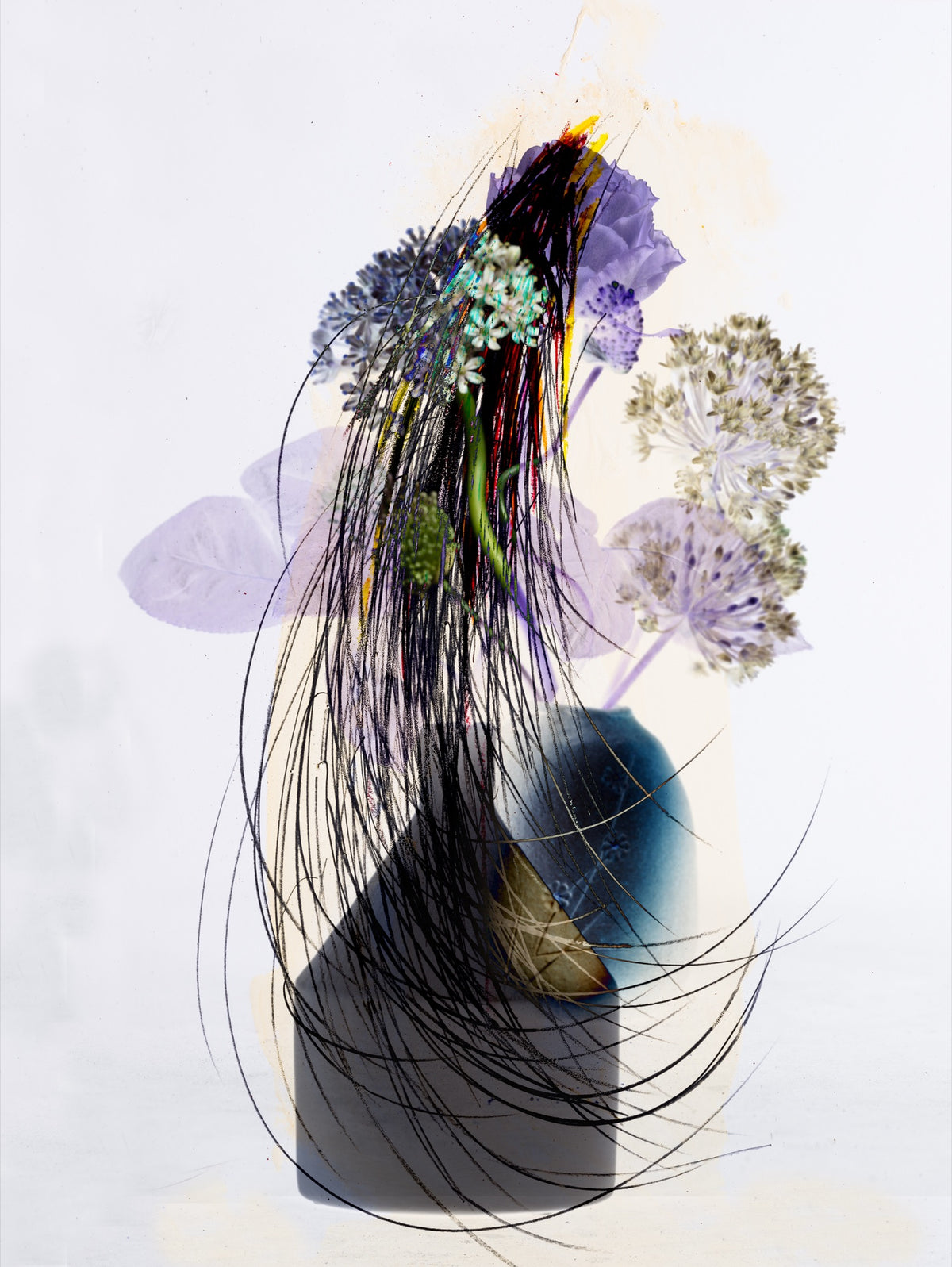 hana56_9345 ― 清永安雄「hana」