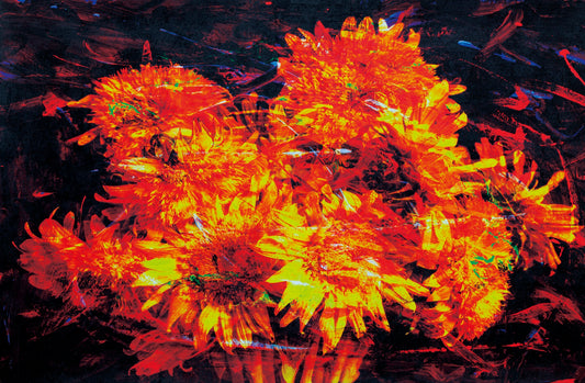 hana64_3198 ― 清永安雄「hana」