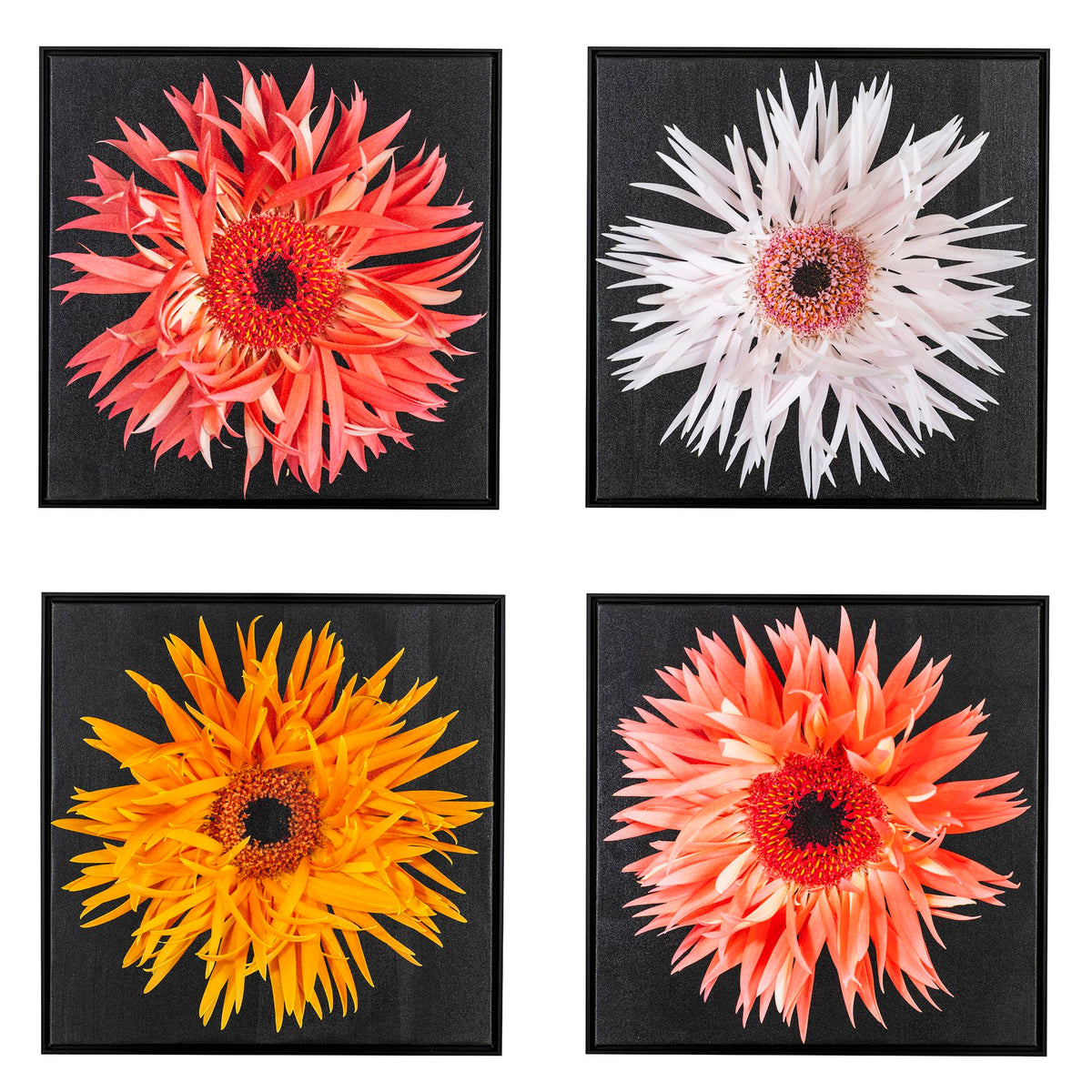 Heavenly Flowers_05_P&Y