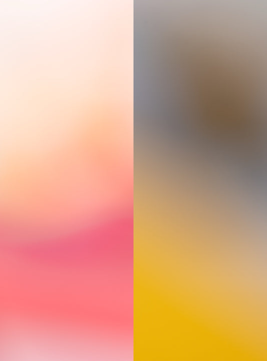 Two landscapes_100 ― 清永安雄「2つの風景」