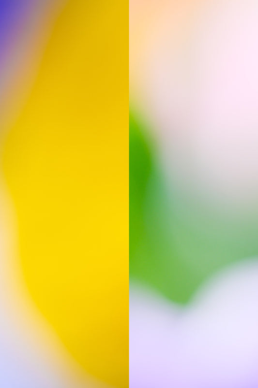 Two landscapes_23 ― 清永安雄「2つの風景」