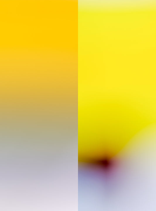 Two landscapes_58 ― 清永安雄「2つの風景」