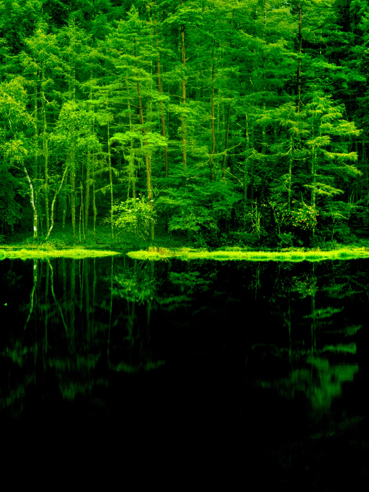 Two landscapes_86 ― 清永安雄「2つの風景」