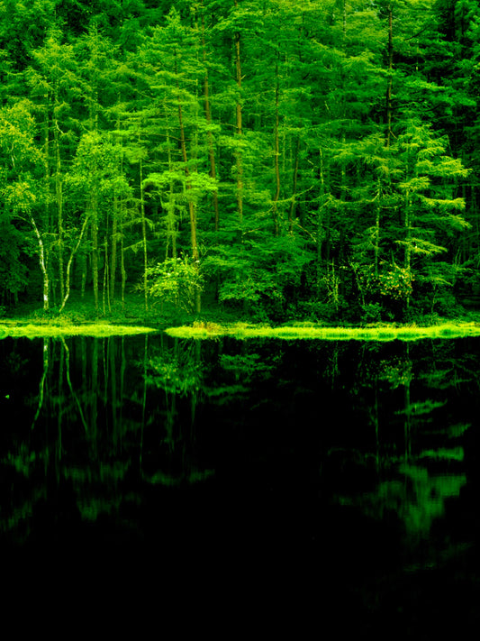 Two landscapes_86 ― 清永安雄「2つの風景」