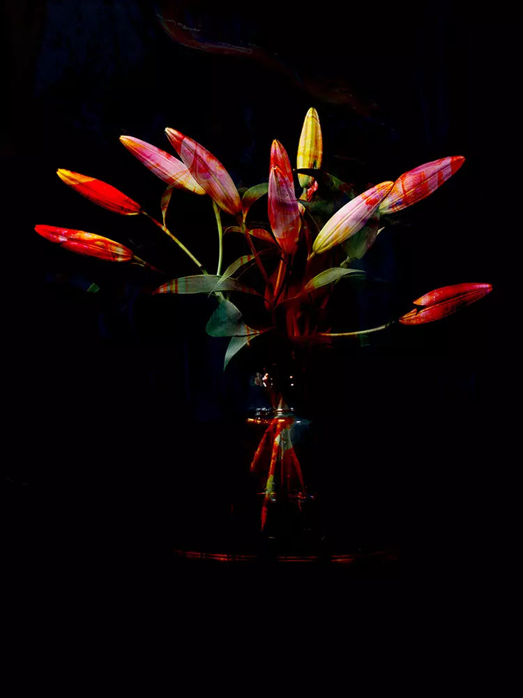 hana12_F4794