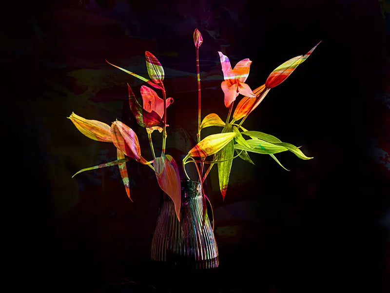 hana19_F5035
