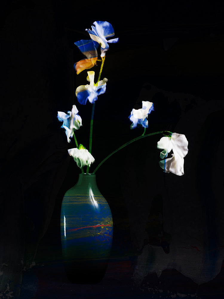 hana54_9970