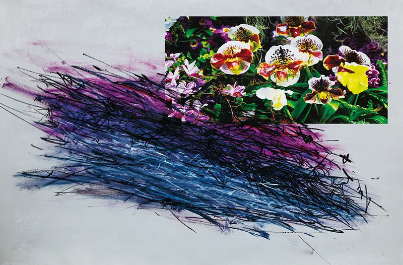 hana70_3213