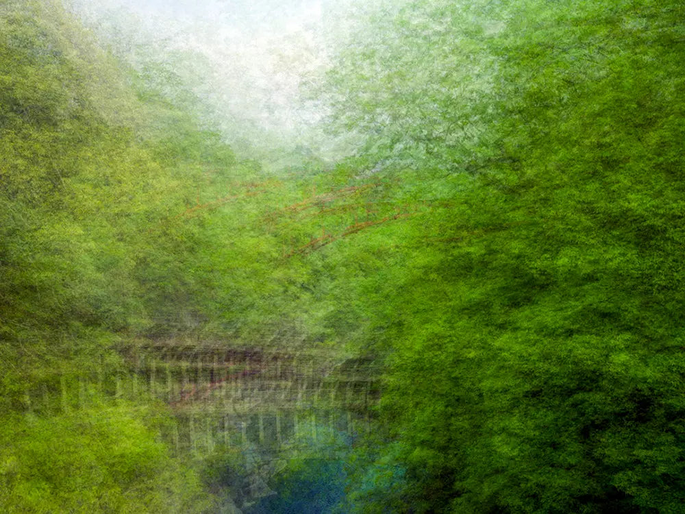 6％_12