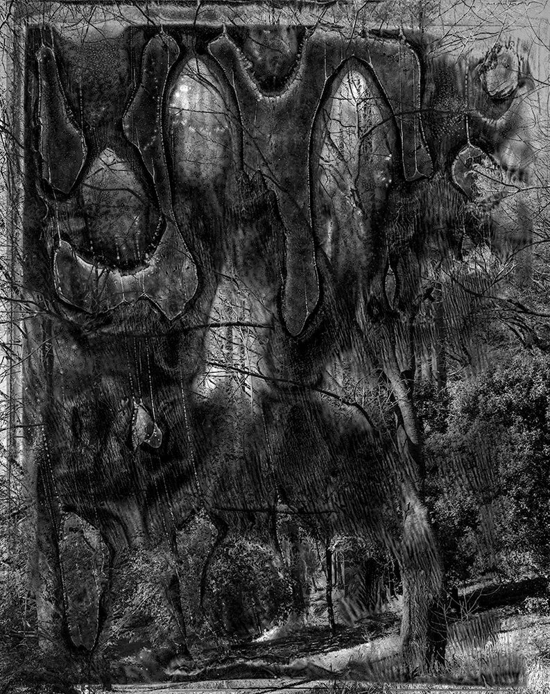 Spirit of Forest 2029