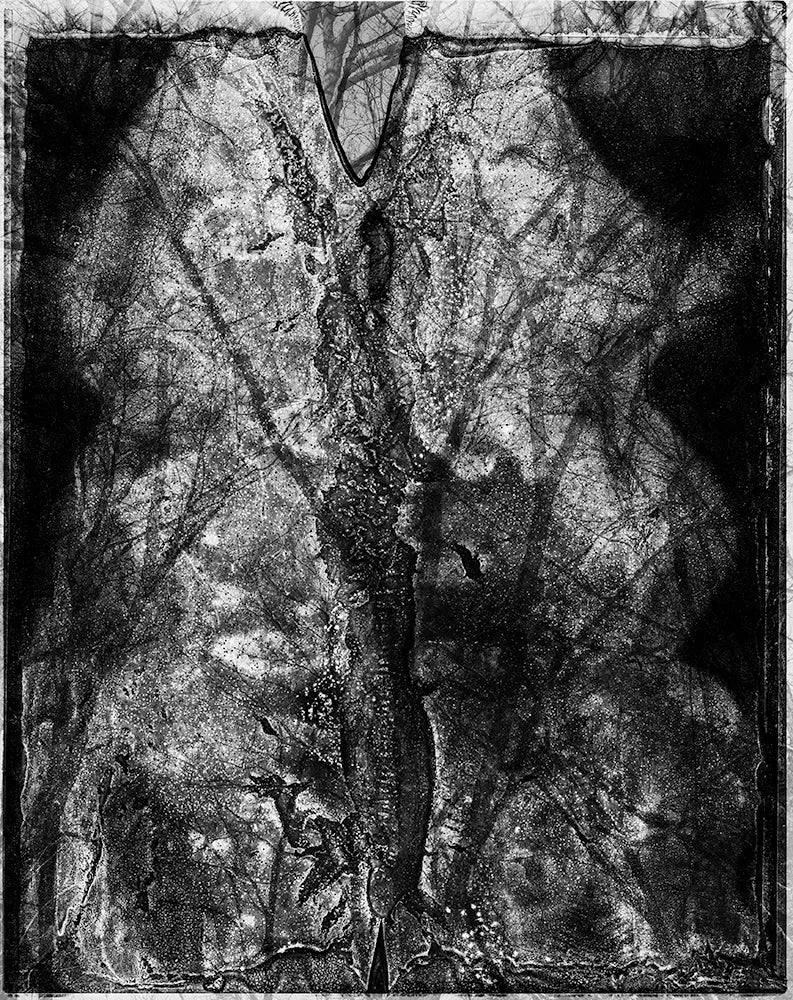 Spirit of Forest 2035