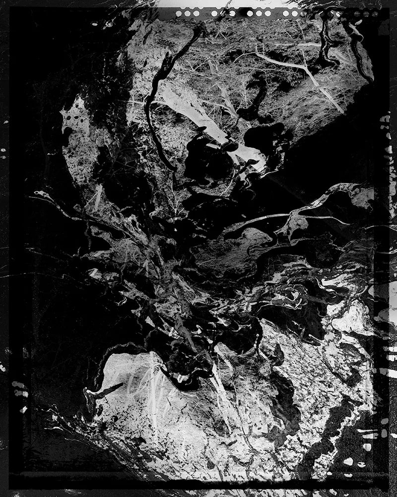 Spirit of Forest 3246542